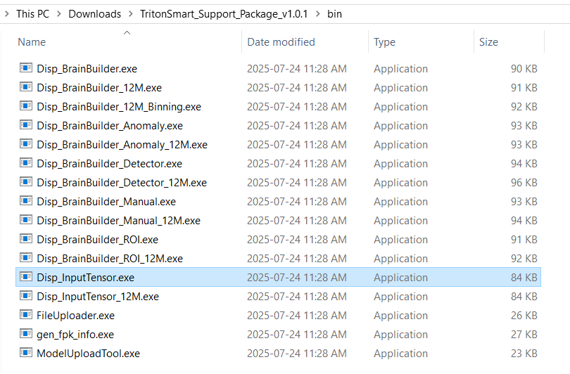 Disp_InputTensor screenshot