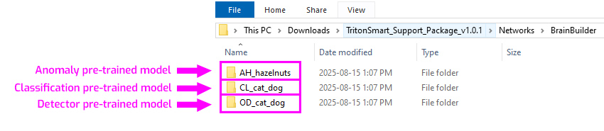 Pre-trained ai-models